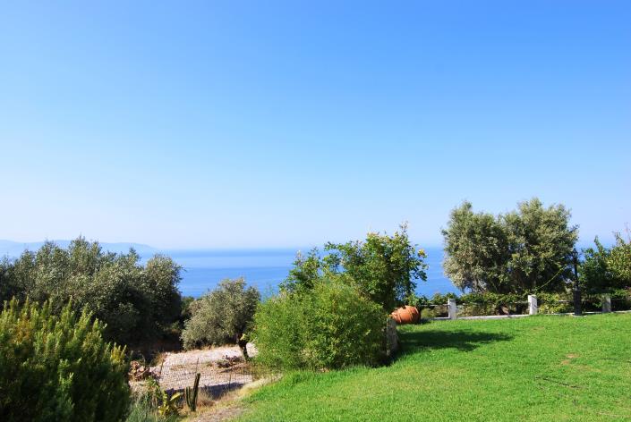 Image No.25-Commercial for sale