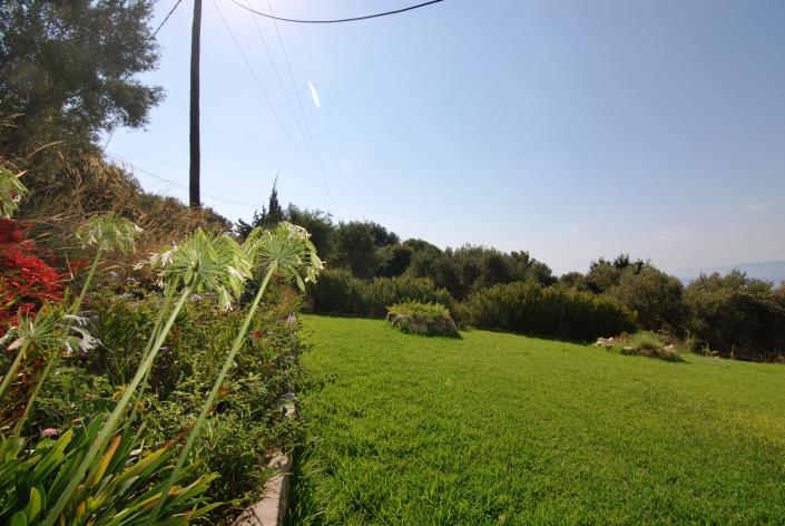 Image No.28-Commercial for sale