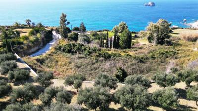 Land_for_sale_in_Spartia_Kefalonia--1-