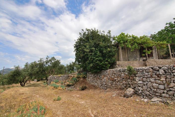 Image No.5-Propriété à vendre à Céphalonie