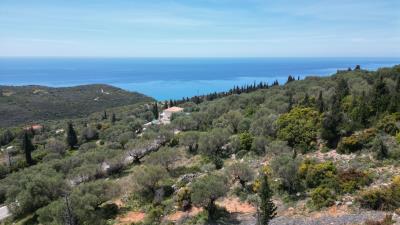 DJI_0611