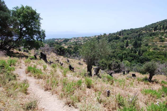 Image No.6-Plot for sale