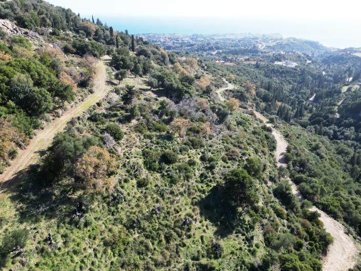 Image No.4-Plot for sale