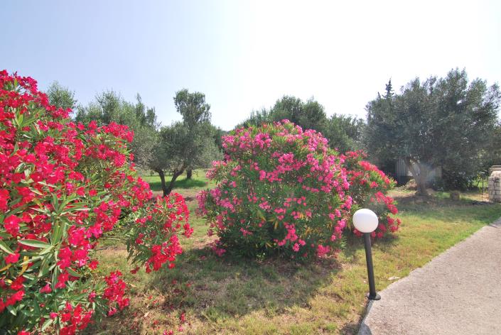 Image No.17-6 Bed Villa for sale