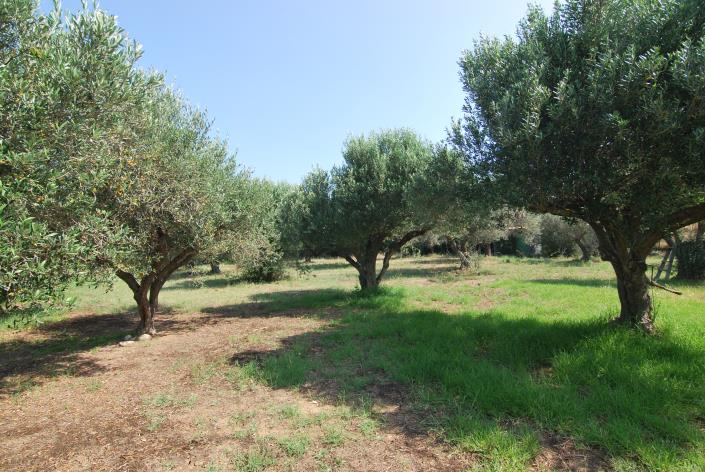 Image No.19-6 Bed Villa for sale