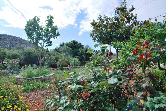 Image No.10-Villa de 2 chambres à vendre à Karavados