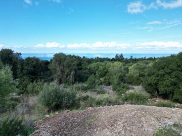 DJI_0021