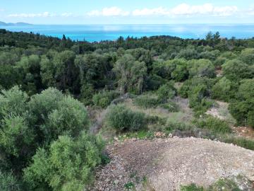 DJI_0024