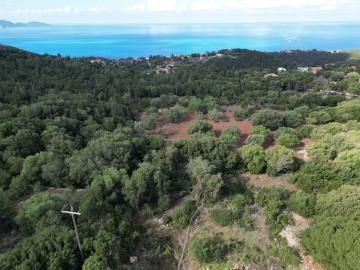 DJI_0035