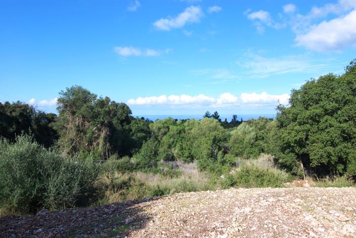 Image No.7-Land for sale