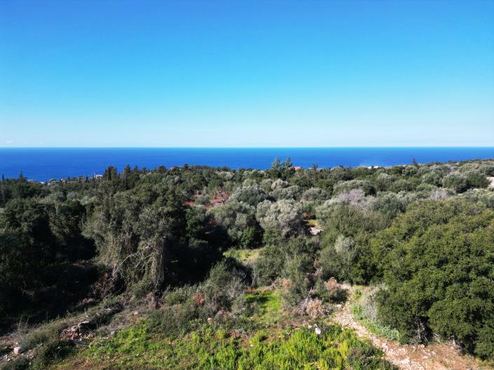 Image No.2-Land for sale