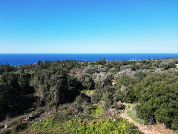 Plot_for_sale_in_Markoulata_Kefalonia--6-