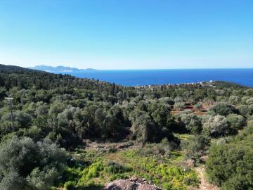 Plot_for_sale_in_Markoulata_Kefalonia--14-