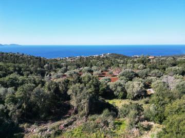Plot_for_sale_in_Markoulata_Kefalonia--11-