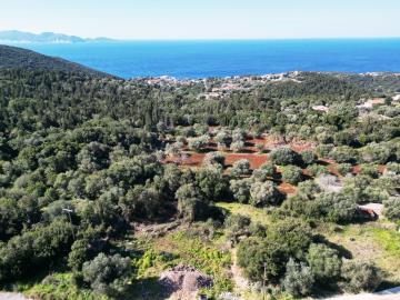 Plot_for_sale_in_Markoulata_Kefalonia--20-