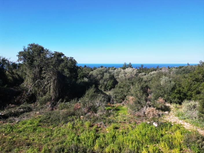 Image No.8-Land for sale