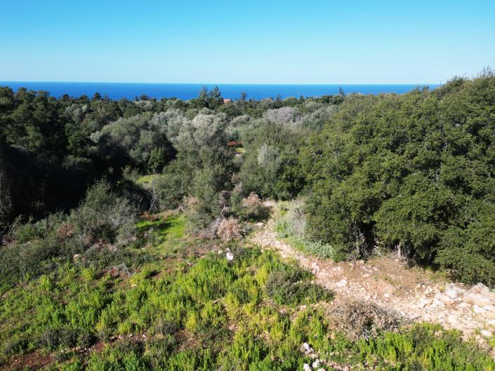 Image No.7-Land for sale