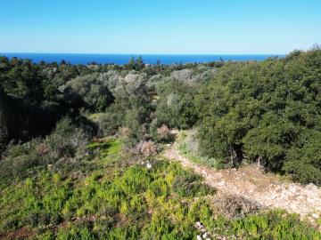Plot_for_sale_in_Markoulata_Kefalonia--34-