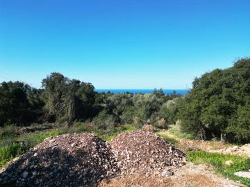 Plot_for_sale_in_Markoulata_Kefalonia--43-