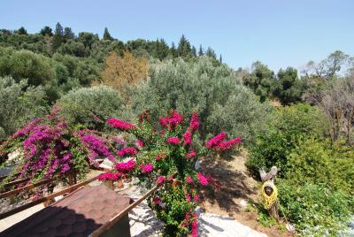 Villa_for_sale_in_Havdata_Kefalonia--8-