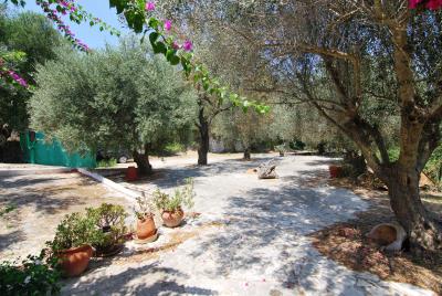 Villa_for_sale_in_Havdata_Kefalonia--34-