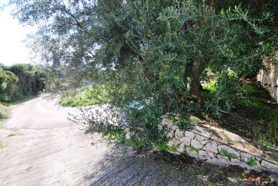 Property_for_sale_in_Ratzakli_Kefalonia--65-