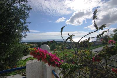 Property_for_sale_in_Ratzakli_Kefalonia--38-