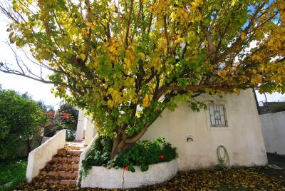 Property_for_sale_in_Ratzakli_Kefalonia--57-