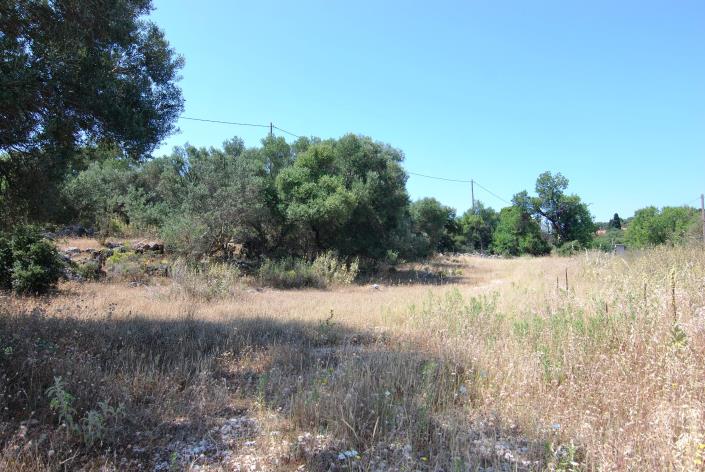 Image No.7-Land for sale