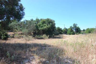 Plot_for_sale_in_Prokopata_Kefalonia--3-