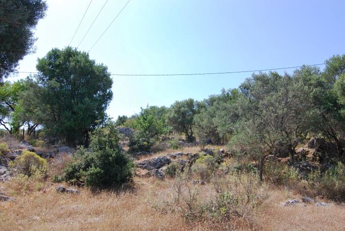 Image No.8-Land for sale