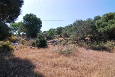 Plot_for_sale_in_Prokopata_Kefalonia--5-