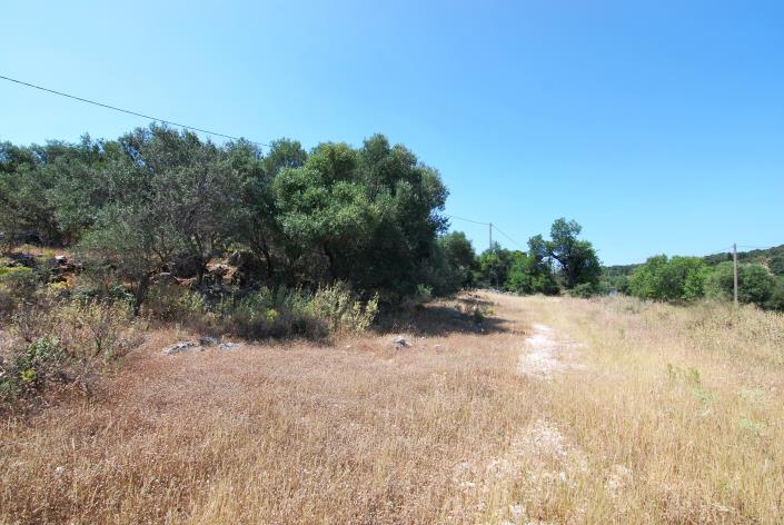 Image No.10-Land for sale