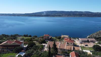 1 - Farsa, Apartment