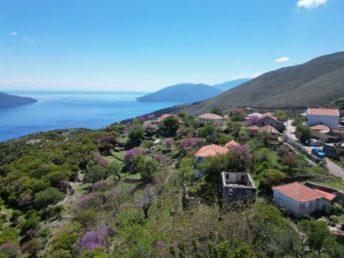 Image No.2-House for sale