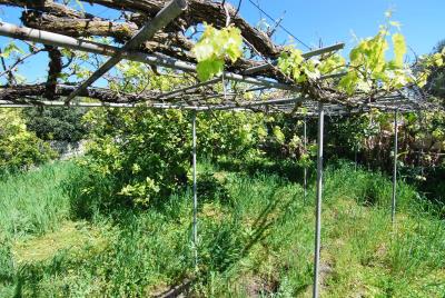 House_for_sale_in_Havdata_Kefalonia--62-