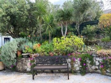 Garden--2-