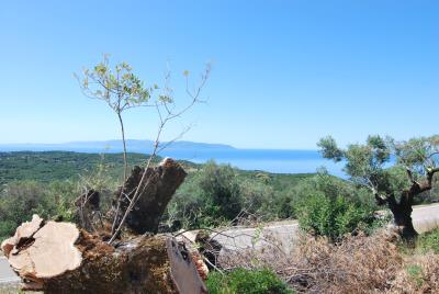 Villa_for_sale_in_Atsoupades_Kefalonia--25-