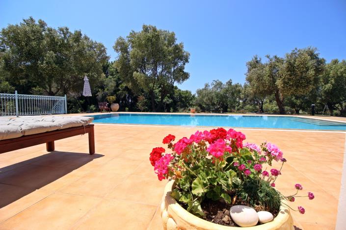 Image No.10-3 Bed Villa for sale