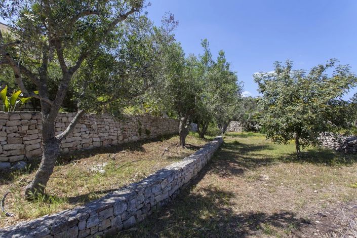 Image No.28-Villa de 3 chambres à vendre à Gagliano del Capo