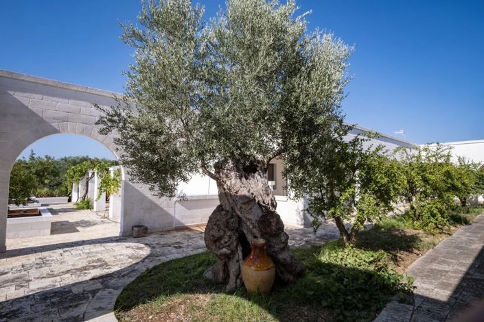 Image No.19-20 Bed House for sale