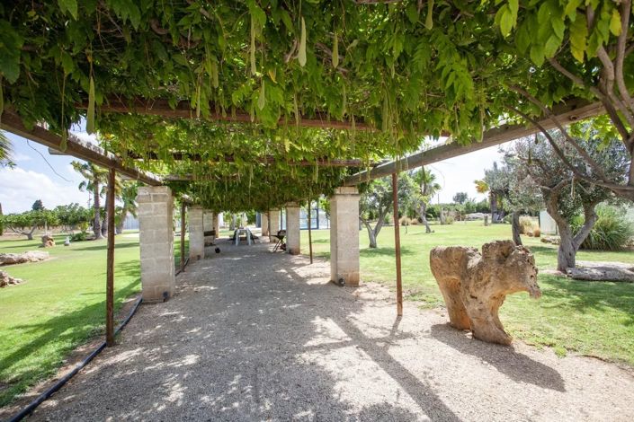 Image No.25-Maison de 6 chambres à vendre à Mesagne