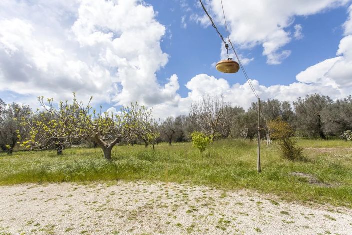 Image No.18-House for sale