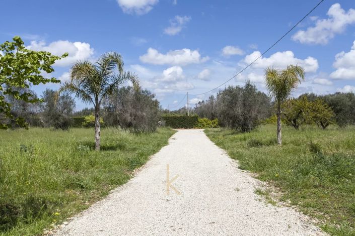 Image No.19-House for sale