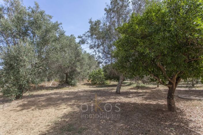 Image No.29-3 Bed Villa for sale