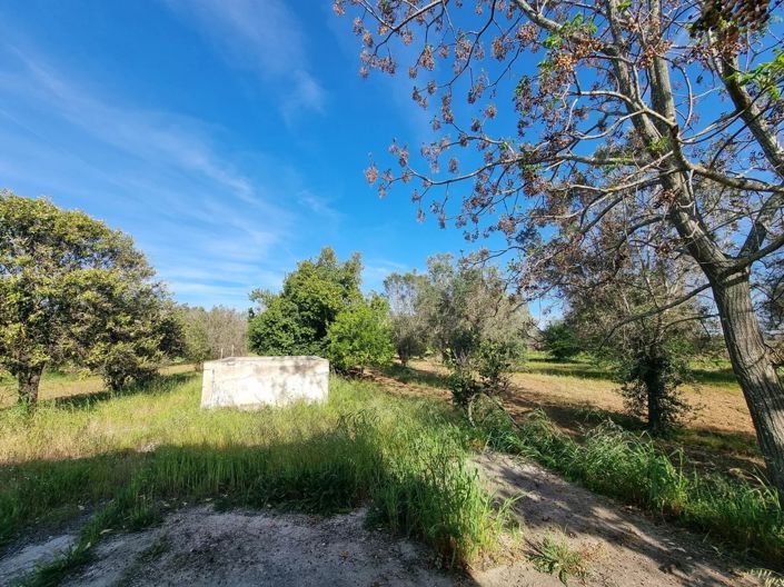 Image No.18-2 Bed Villa for sale