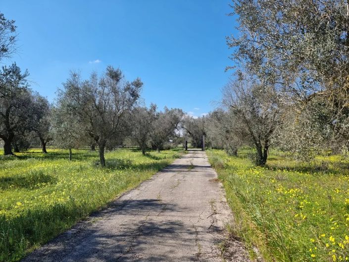 Image No.20-2 Bed Villa for sale