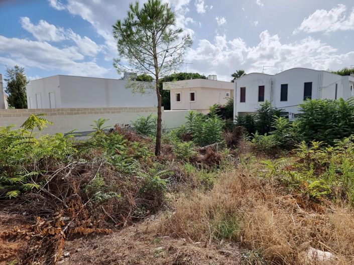 Image No.2-Terre à vendre à Maruggio