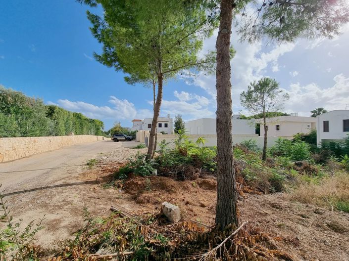 Image No.3-Terre à vendre à Maruggio