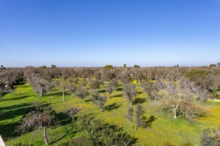 Image No.20-Villa de 3 chambres à vendre à Oria